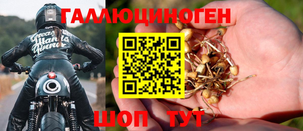 Туапсе  Псилоцибиновые грибы Psilocybe  Вход с VPN 