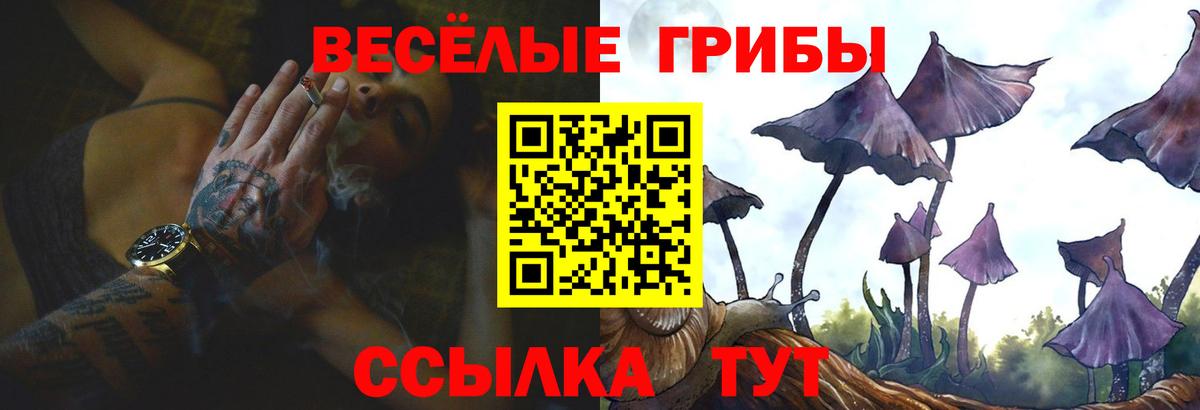 Галлюциногенные грибы мицелий Туапсе